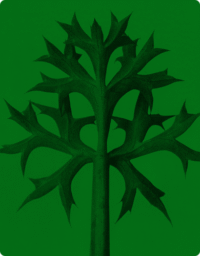 Slider Image 2